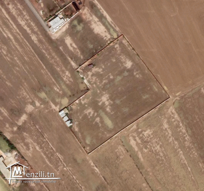 Vends Terain à ElHessiene