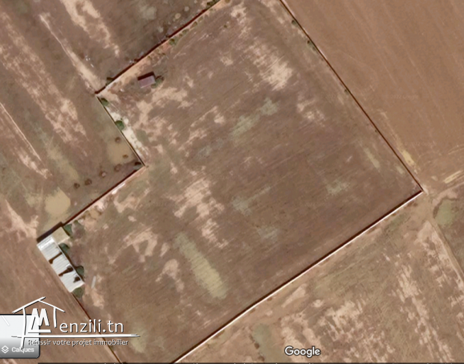 Vends Terain à ElHessiene