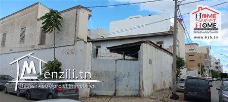 Terrain Promoteur à Vendre à Louis Bray