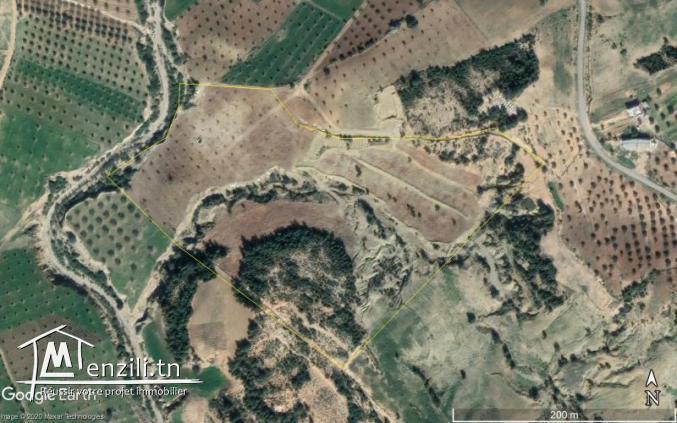 5 hectares avec titre bleu individuel