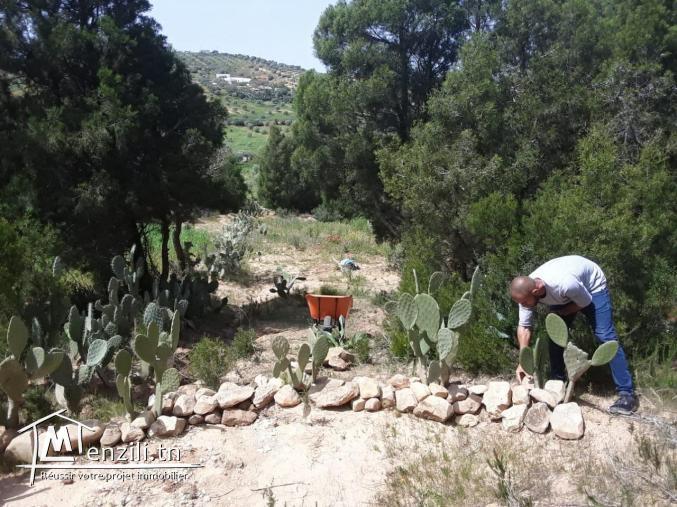 5 hectares avec titre bleu individuel