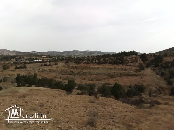 5 hectares avec titre bleu individuel