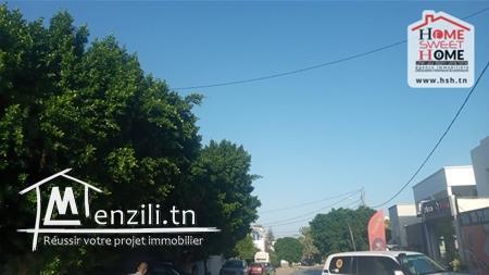 Terrain Villa Laleli à Vendre d'EL Manzah