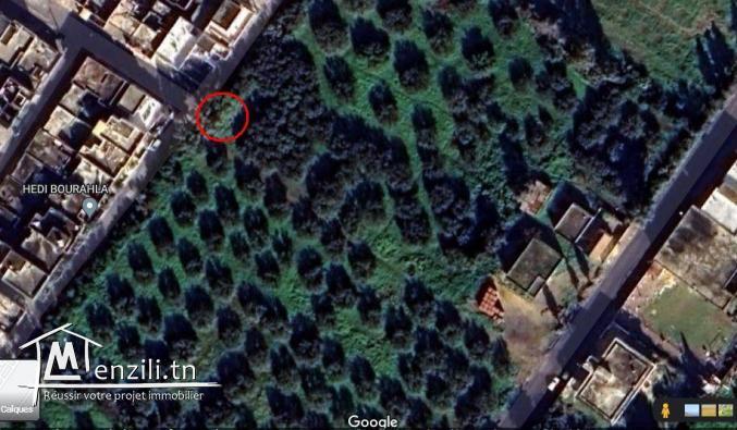 Terrain proche du lac de Bizerte