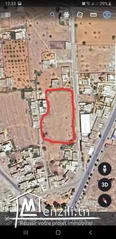 Vente terrain à Jebeniana