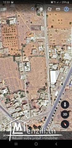 Vente terrain à Jebeniana