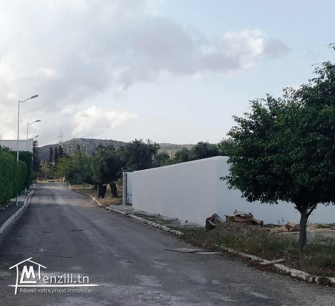 A VENDRE TERRAIN VIABILISE A HAMMAMET