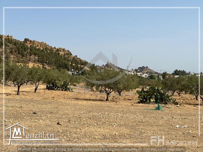 Terrain a vendre a Sidi jdidi hammamet