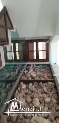 villa 2NIV  situé à borej louzir