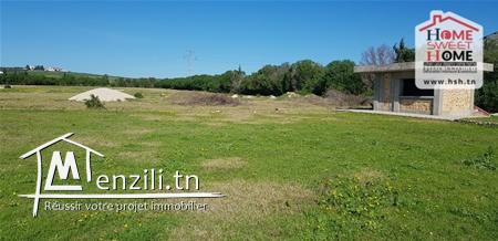 Terrain Agricole Biirat à Vendre à Mornagia