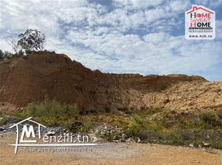 Terrain Promoteur Habu à Vendre à Riadh Andalous