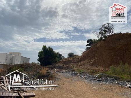 Terrain Promoteur Habu à Vendre à Riadh Andalous