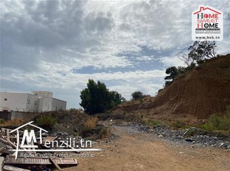 Terrain Promoteur Habu à Vendre à Riadh Andalous