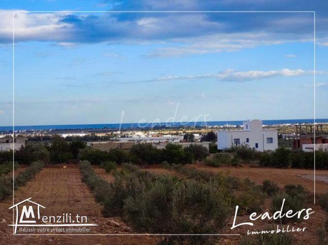 a vendre un lot terrain de 320 m² 27246306