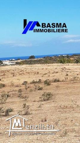 Un terrain agricole à vendre à Kalaa Kbira