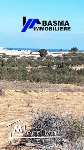 Un terrain agricole à vendre à Kalaa Kbira