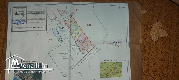 Terrain hamem laghzez