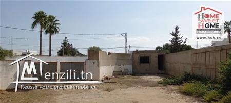 Immeuble Borgo  à Vendre à La Soukra