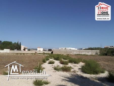 Terrain Villa el Bey à Vendre à Bhar Lazreg