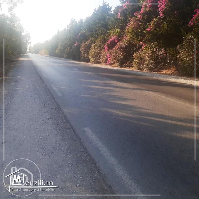 للبيع أرض في كركوان قليبية