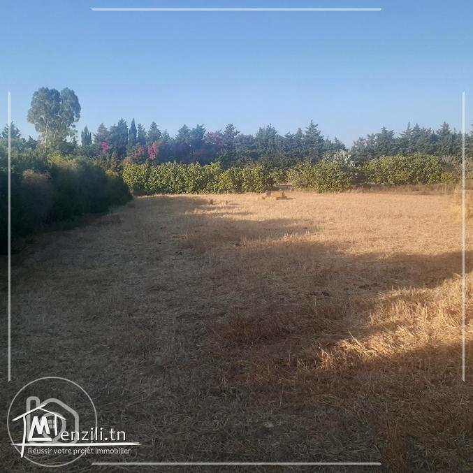 للبيع أرض في كركوان قليبية