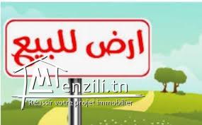 Pour ceux qui recherchent le calme et la tranquillité