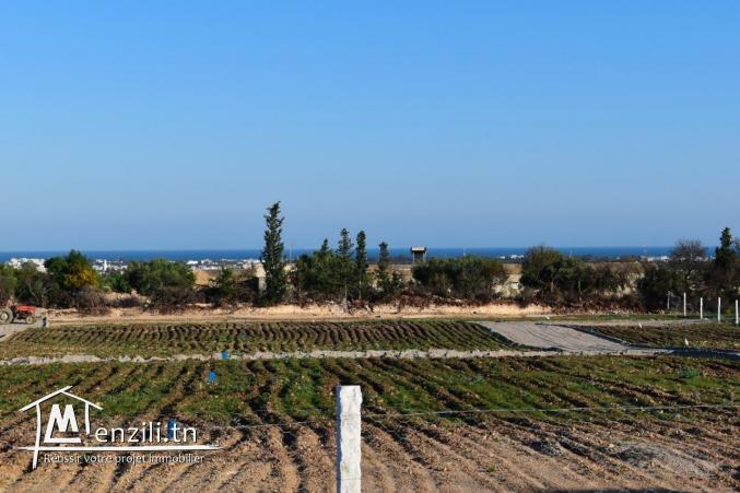 A vendre un terrain à Hammamet_Sud à 3km de la plage.