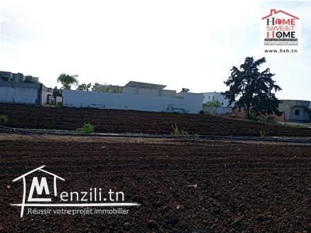 Terrain Villa Girard  à Vendre à Borj Taouil, Ariana
