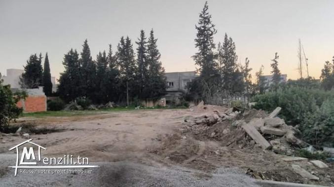 أرض سكنية صالحة للبناء بزاوية مرناق