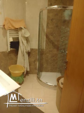 PLAZAIMMO met en location  S1  richement meublé au  lac2.