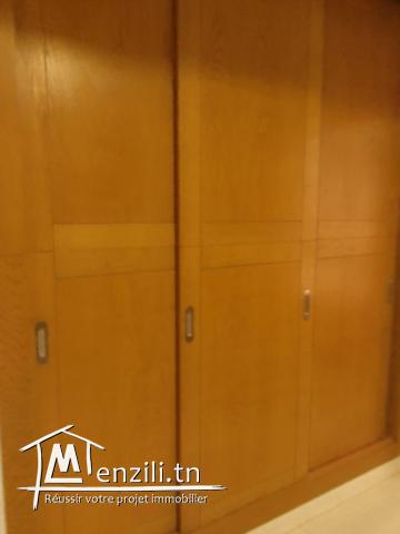 PLAZAIMMO met en location  S1  richement meublé au  lac2.