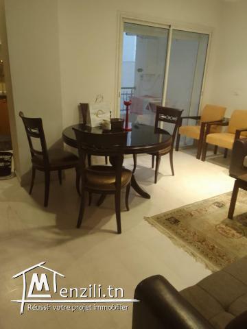 PLAZAIMMO met en location  S1  richement meublé au  lac2.