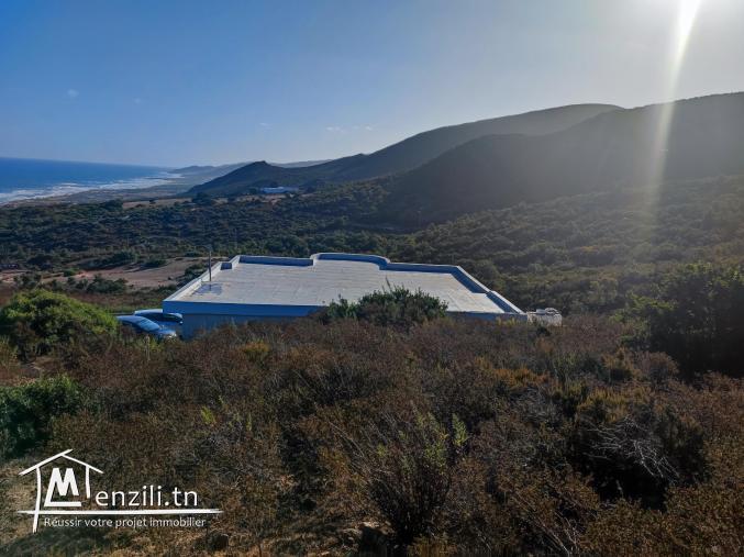VENTE VILLA VUE SUR MER KEF ABED