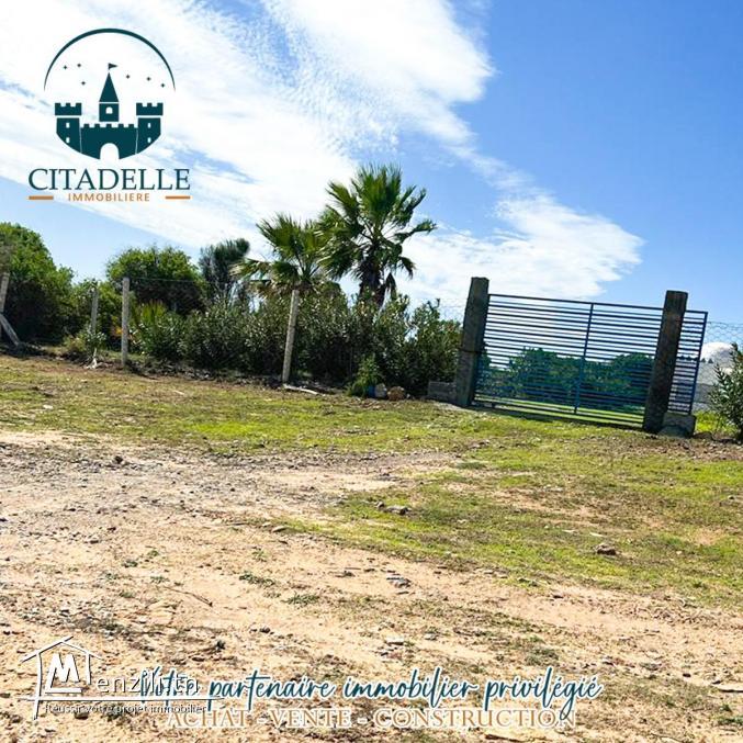 تقسيم جديد مباشرة على بحر دار علوش