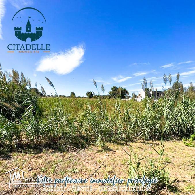 تقسيم جديد مباشرة على بحر دار علوش