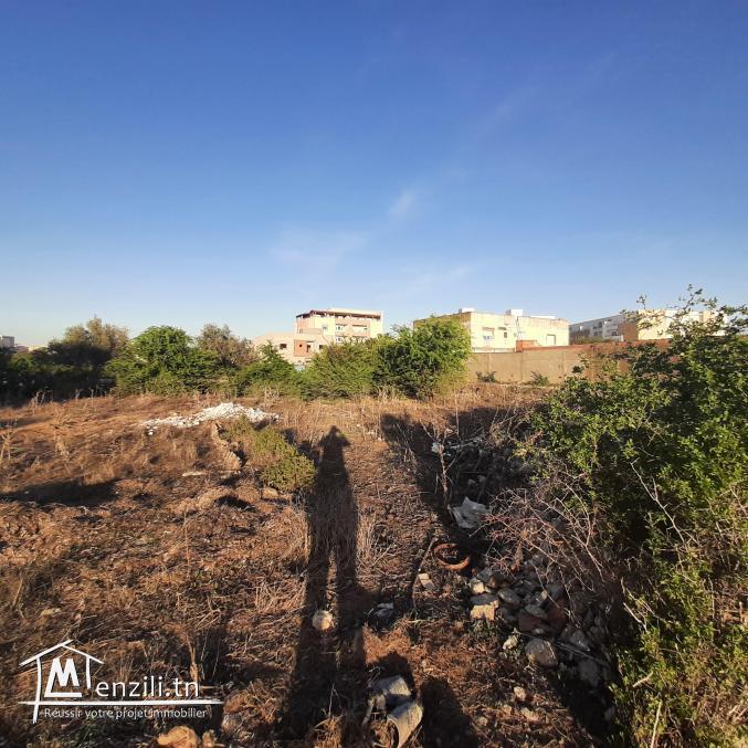 Terrain à Manouba ville