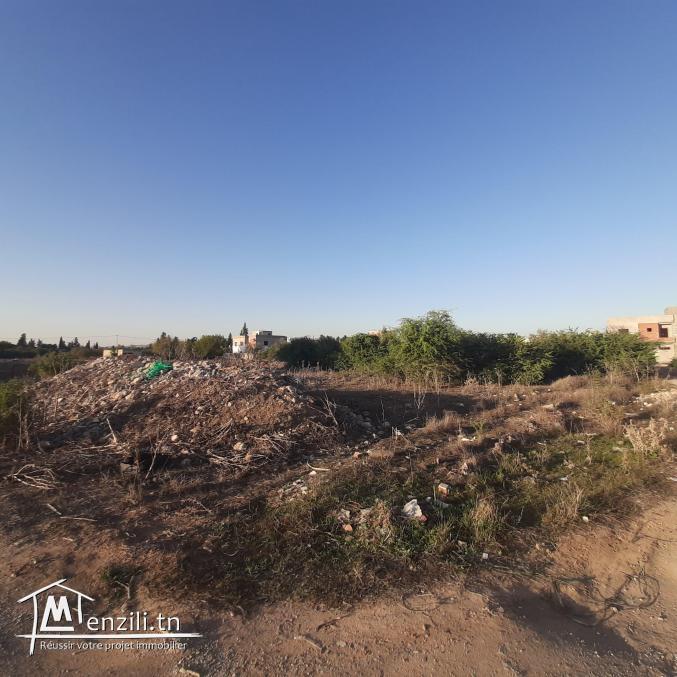 Terrain à Manouba ville
