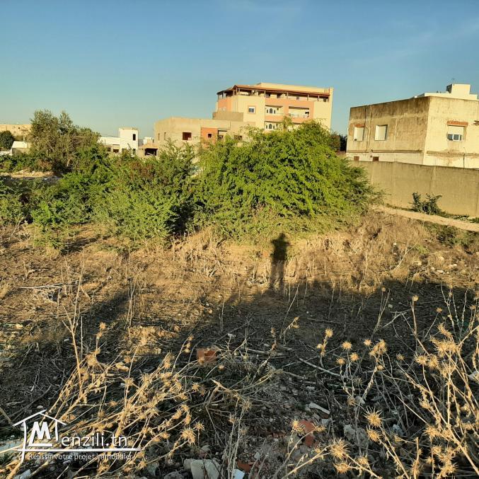 Terrain à Manouba ville