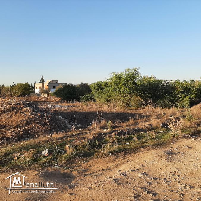 Terrain à Manouba ville