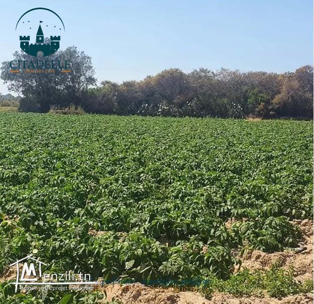 vous propose un superbe terrain à #sidi mansour #hammem_ghezez zone trés calme ????????