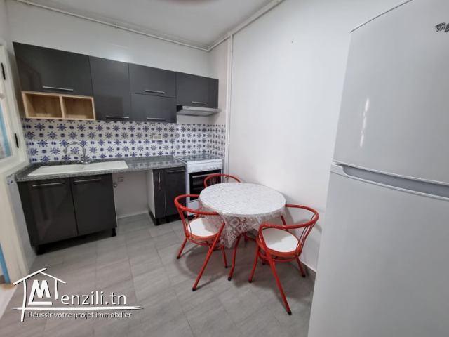 Appartement CITRON (Réf: V2418