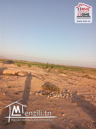 Terrain lemaitre à Vendre à sidi aich gafsa