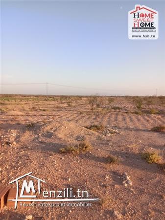Terrain lemaitre à Vendre à sidi aich gafsa