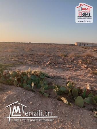 Terrain lemaitre à Vendre à sidi aich gafsa