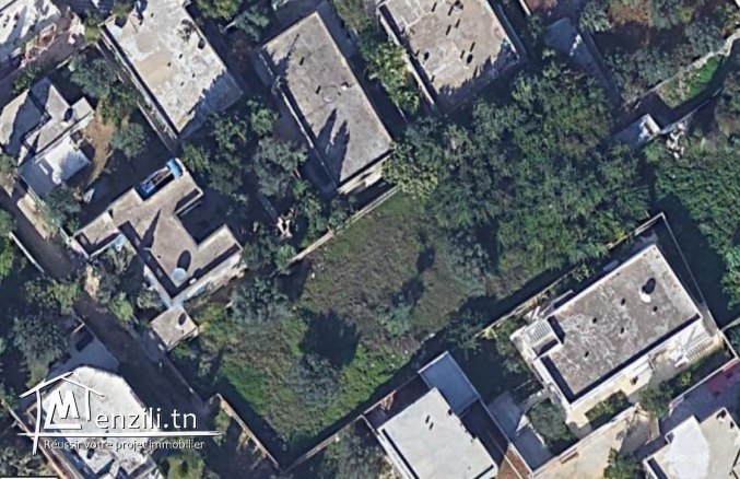 Terrain Soukra 1300m²