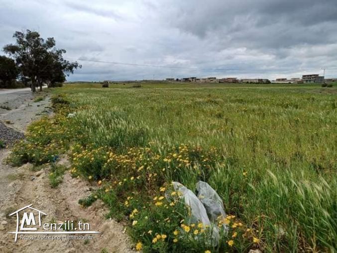 Terrain à batir Korba