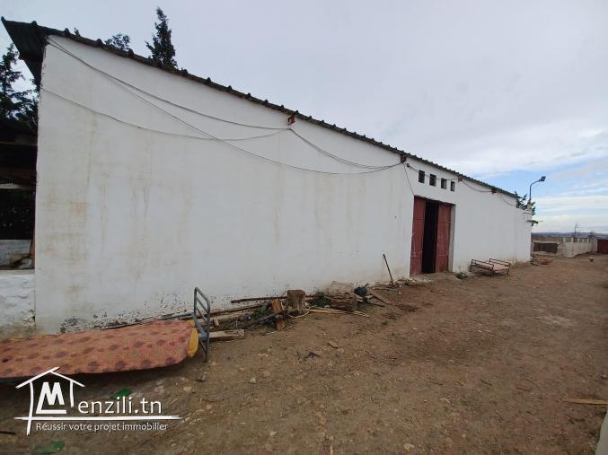 2.7 Hectar a zaghouane