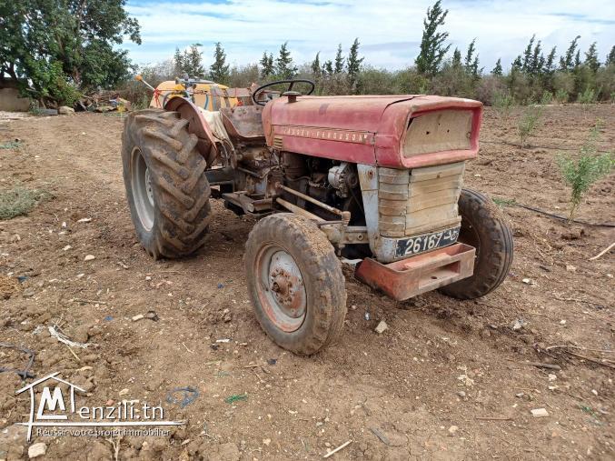 2.7 Hectar a zaghouane