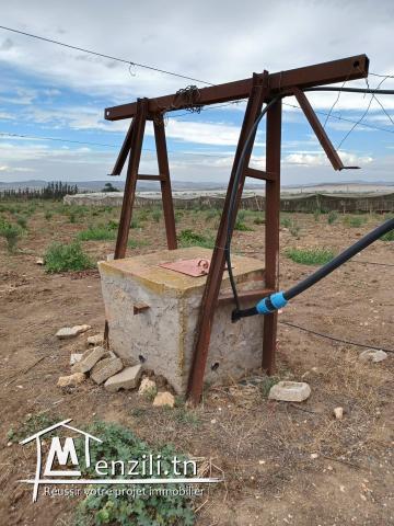 2.7 Hectar a zaghouane