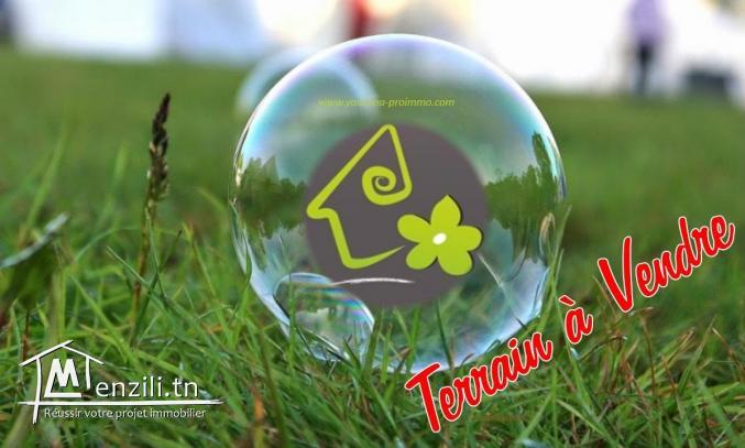 Terrain TH715 Hammamet Plage :